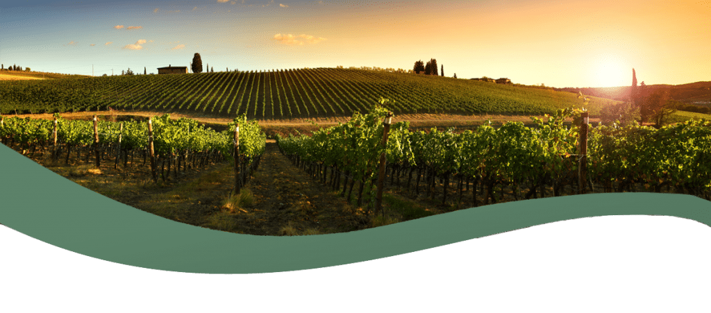 Orchards & Vineyards – The Bare Necessities