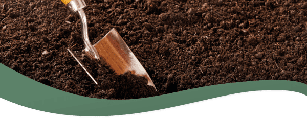 Top tips for soil preparation into winter