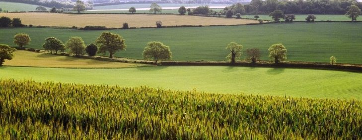 Tips To Improve Soil Health All Year Round