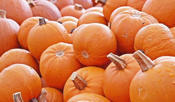 How to use up your leftover Pumpkins!